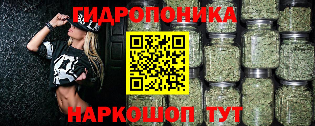 Канабис план Борисоглебск